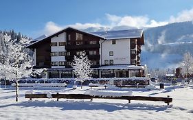 Hotel Alpin Scheffau