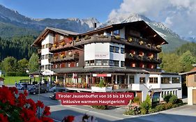 Hotel Alpin Scheffau